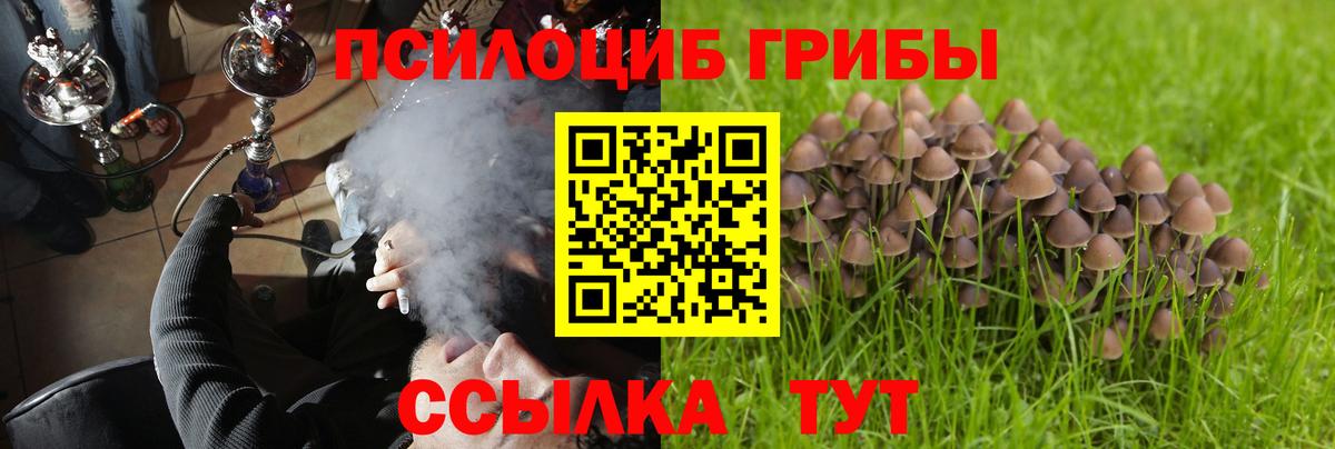 Тула  Галлюциногенные грибы MAGIC MUSHROOMS  Вход с VPN 